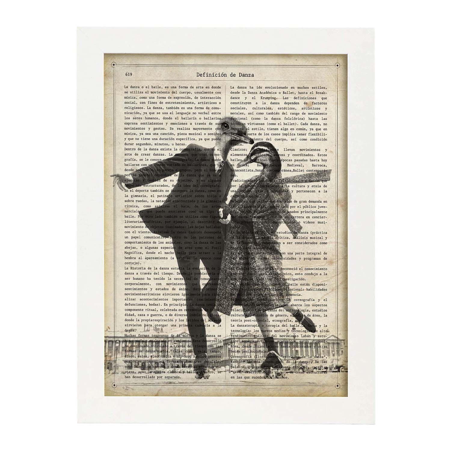 Poster de patos patinando. láminas de animales con definiciones. ilustraciones de animales con textos. marco negro - a3