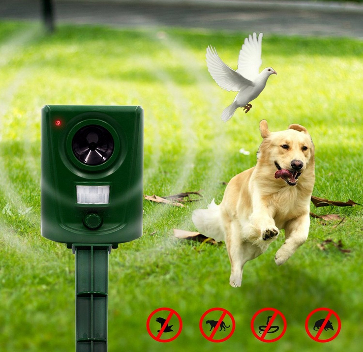 2X Répulsif Chat Jardin à Ultrasons, Répulsif Chats avec Piquet au Sol Prévenir Les Chiens et Les Chats, Les Oiseaux, pour Jardins, Champs - 7