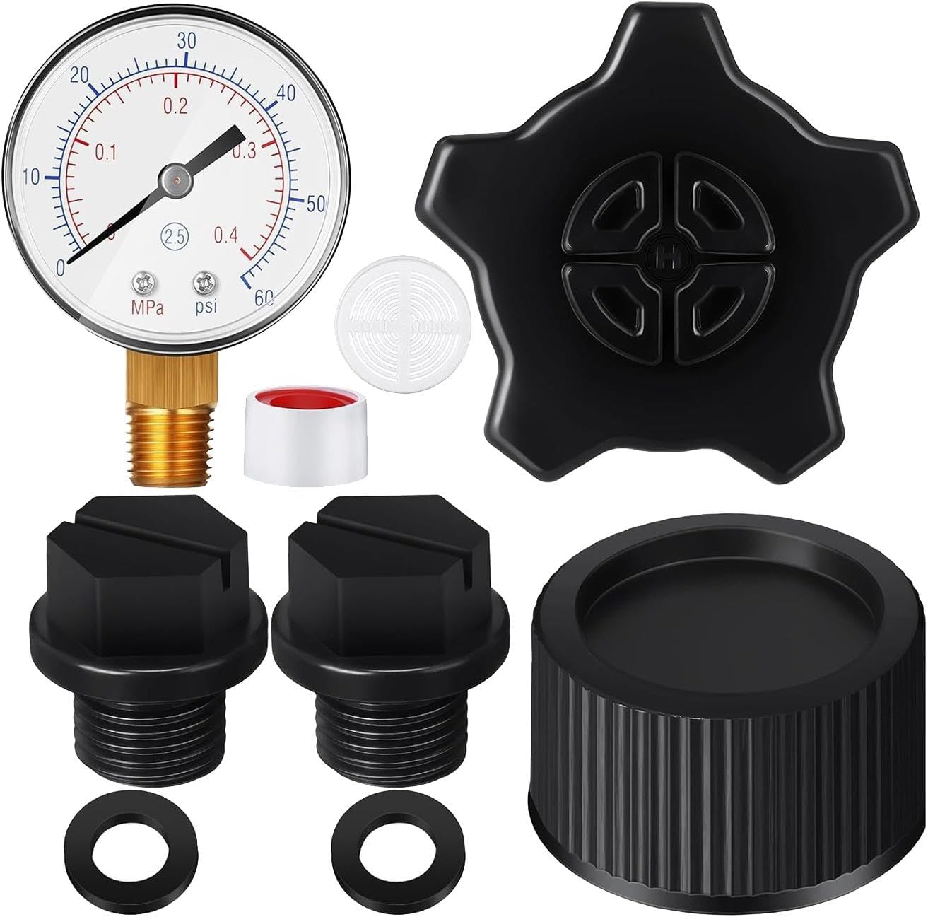 Raccord Pour Filtre De Piscine Entrée-Sortie 1.25 In, Accessoire De