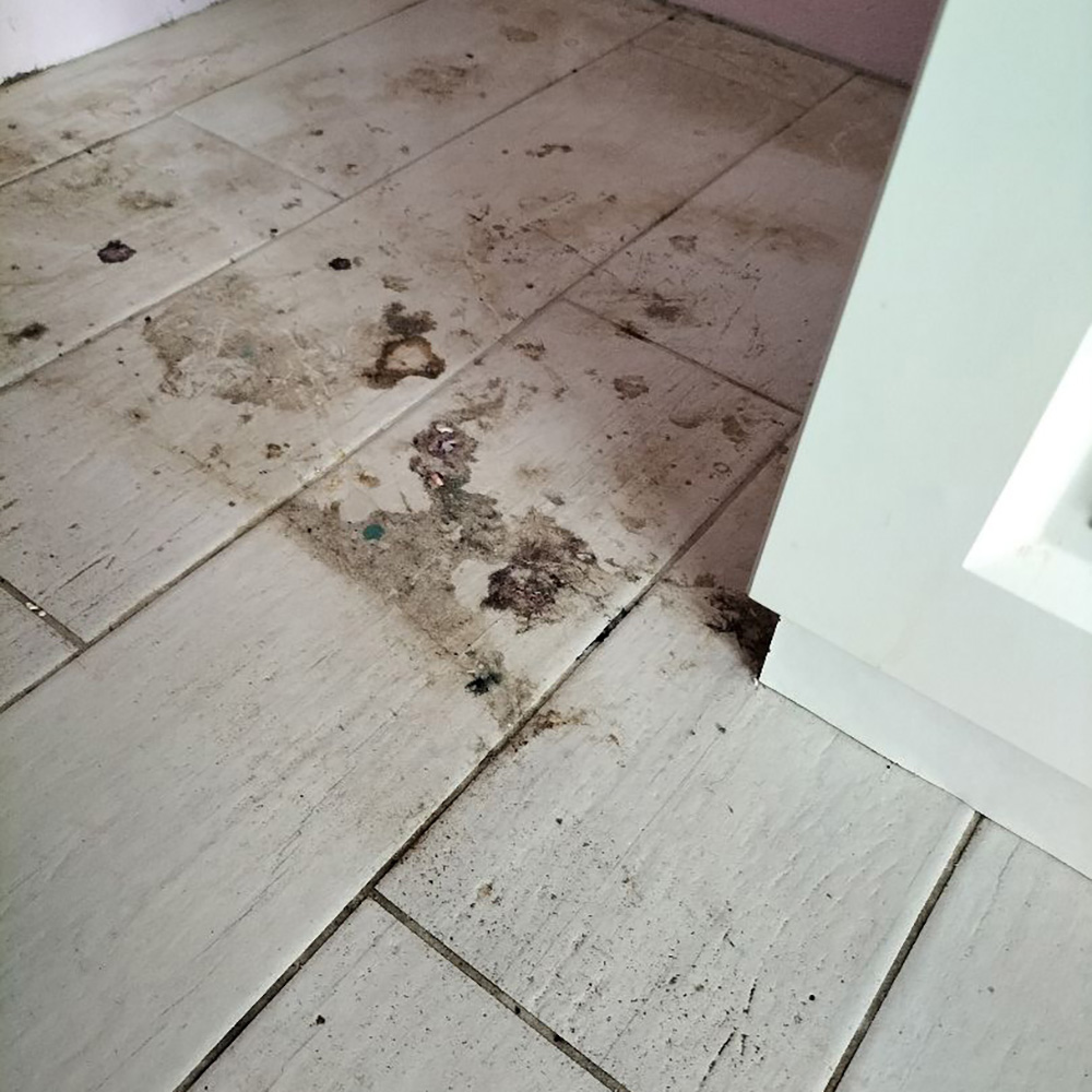 Perfekcyjny Płyn do mycia podłóg paneli płytek FLOOR CLEANER 5L NANOBAUER - 2