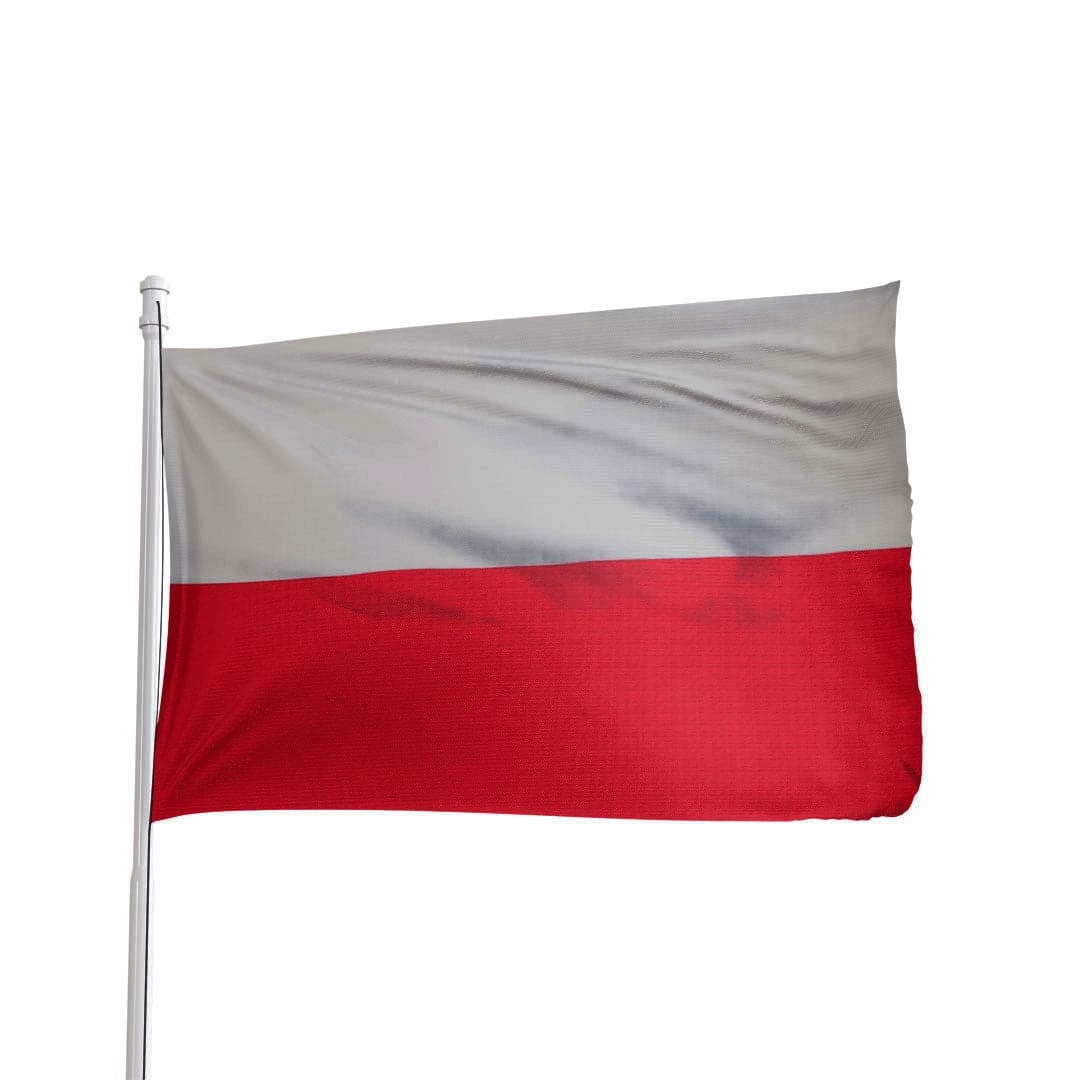 Maszt aluminiowy do podnoszenia flagi 650 cm, maszt ogrodowy, pylon