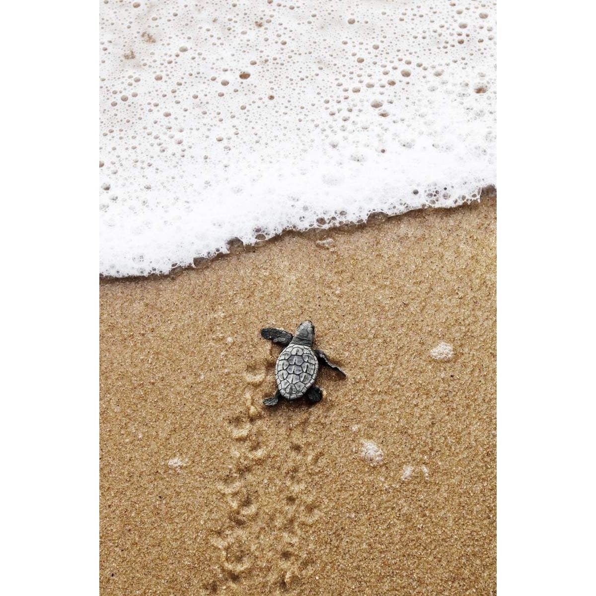 Sous-verre Tortue Rigolo Qui Bouge ! Expression Marrante Dès Qu'on Pose Une Tasse - Décoration De Bureau Ou Maison