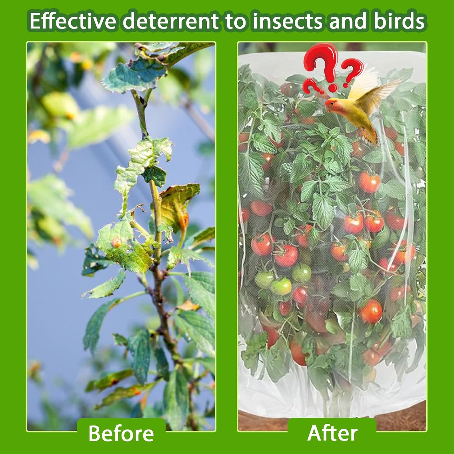 Filets Protection Plantes Anti-Oiseaux et Insectes, avec Fermeture Éclair + Cordon Serrage - pour Arbres Fruitiers, Légumes, Réutilisable (180x180 cm) - 4