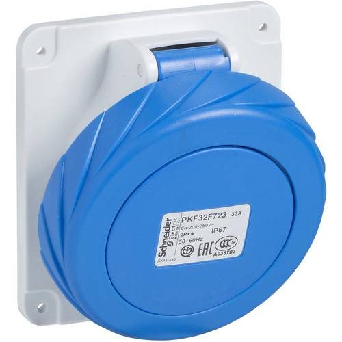 Schneider Electric Base De Empotrar Inclinada De 16A 2P+Tt 200-250V Ip67 Gris/Claro/Azul , Leroy Merlin