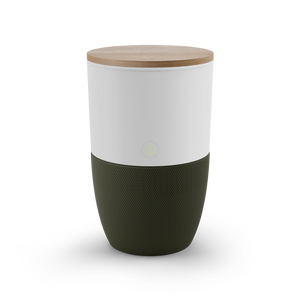 Purificateur D’Air à Ozone Portable - 4 Modes - Élimine Odeurs & Formaldéhyde - Pour Maison Ou Bureau
