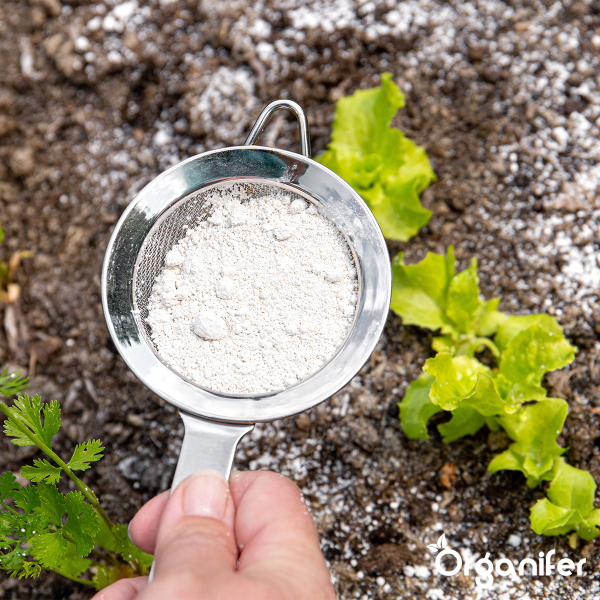 Diatomée Terre - 100% Pure - Poudre Ultra Fine - Sac De 25 Litres - 10 Kg - Organifer - 8