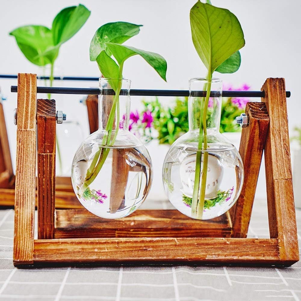 Vase En Verre Suspendu Gonyscag Avec Support Métal - Terrarium Pour Plantes Aériennes Et Succulentes