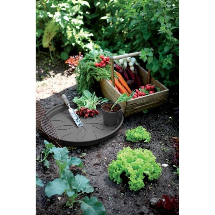 ElhoGreen Basics Saucer 14 - Negro - L 14 x B x H 2 cm - Interior Exterior Cultívalo tú mismo y Accesorios - 100% reciclado - 2