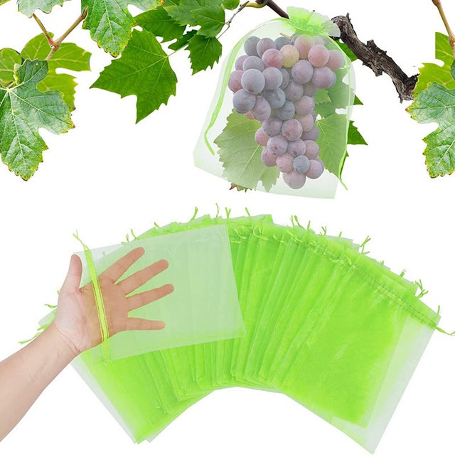 100 pièces sacs de protection des fruits maille légumes sacs de culture antiparasitaire anti-oiseaux jardin fraise raisins (20X30cm)