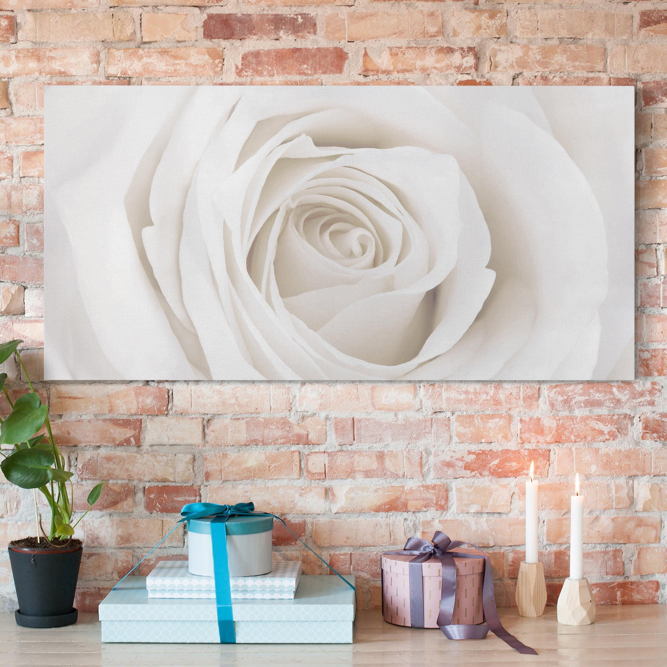 Lienzo cuadro en lienzo bastidor impresion en lienzo blanco flor rosa campestre fotografía 62 cocina dormitorio salón pasillo 100 x 50 cm