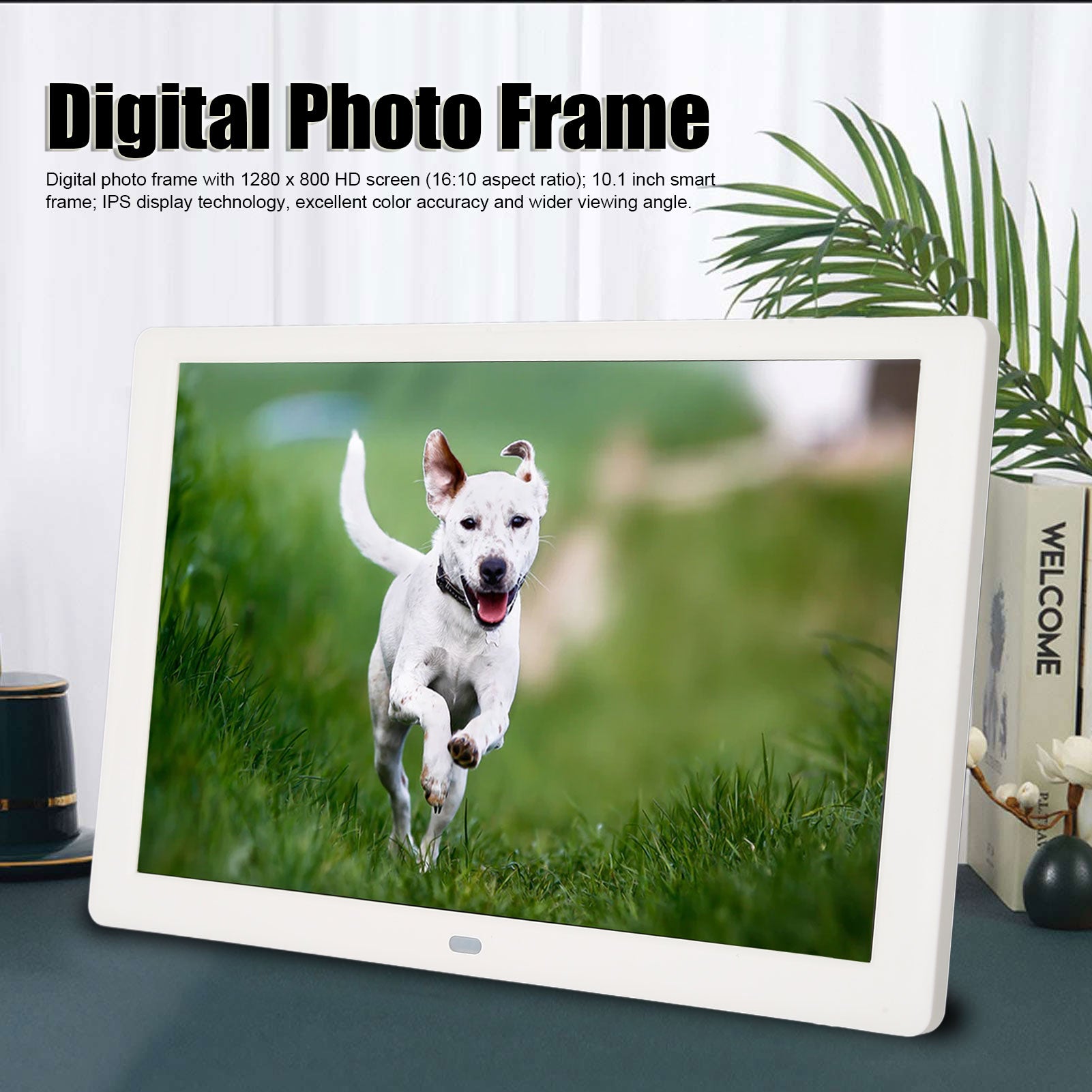 Moldura digital multifuncional com tela HD IPS de 10,1 polegadas com suporte para apresentação de slides e tiro - Plugue UE 100-240V - 3