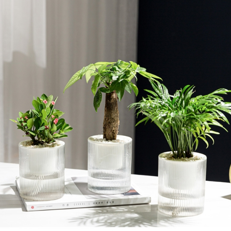 Lot de 3, pots auto-arrosants calibre 10 cm, pots en plastique transparent avec réservoir d’eau pour plantes vertes et fleurs en pot - 3