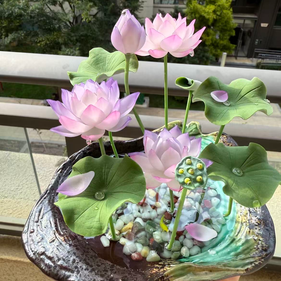 30 graines de lotus, graines de nénuphar multicolores, faciles à cultiver, plantes hydroponiques pour toutes les saisons, pour bassin et jardin. - 8