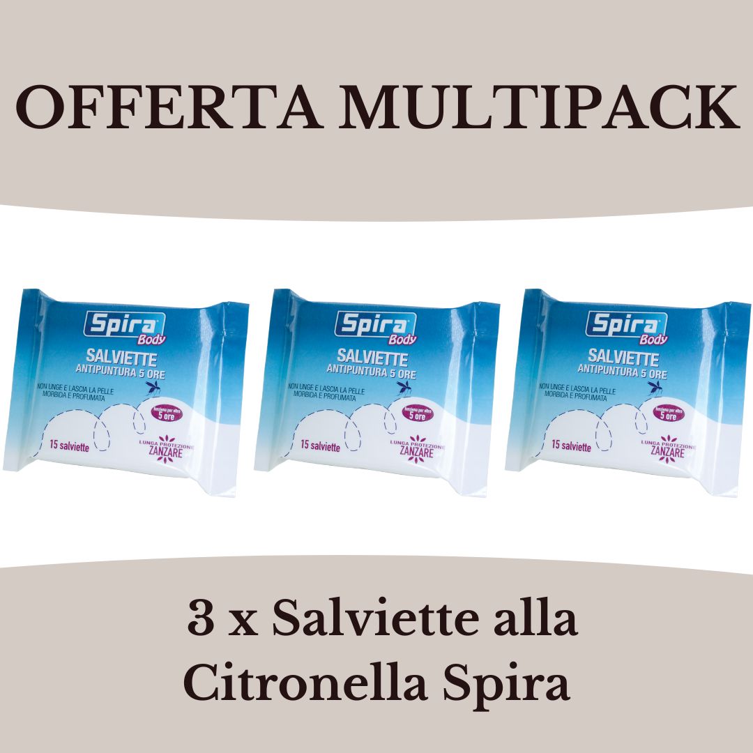 Natha Salviette Umide Disinfettanti Per Le Mani PMC , 12x25pz