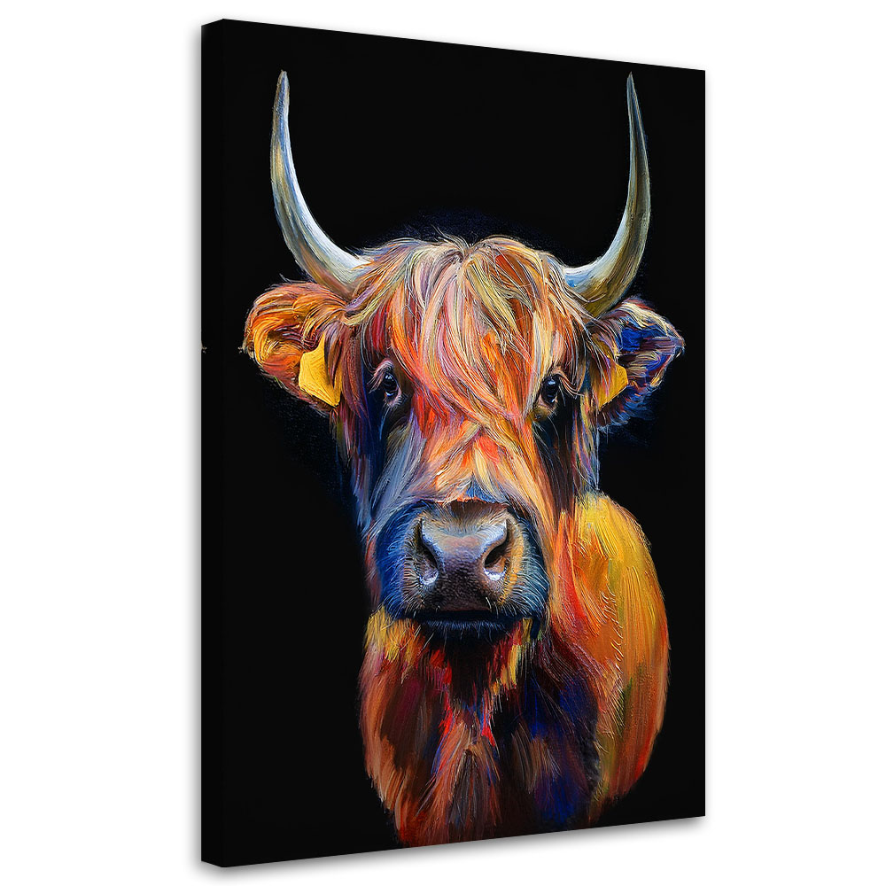 Obraz na płótnie, Krowa Szkocka Zwierzęta 40x60