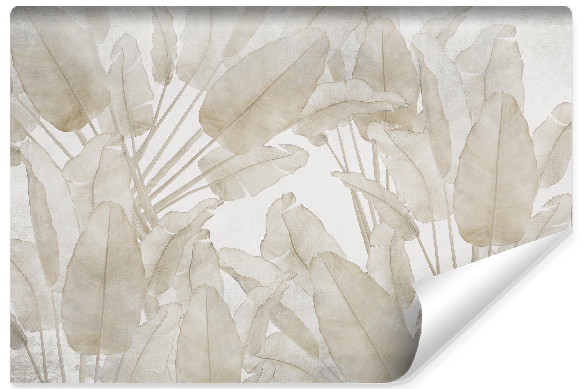 Papel pintado fotográfico no tejido para habitación hojas plantas retro 300cm x 210cm