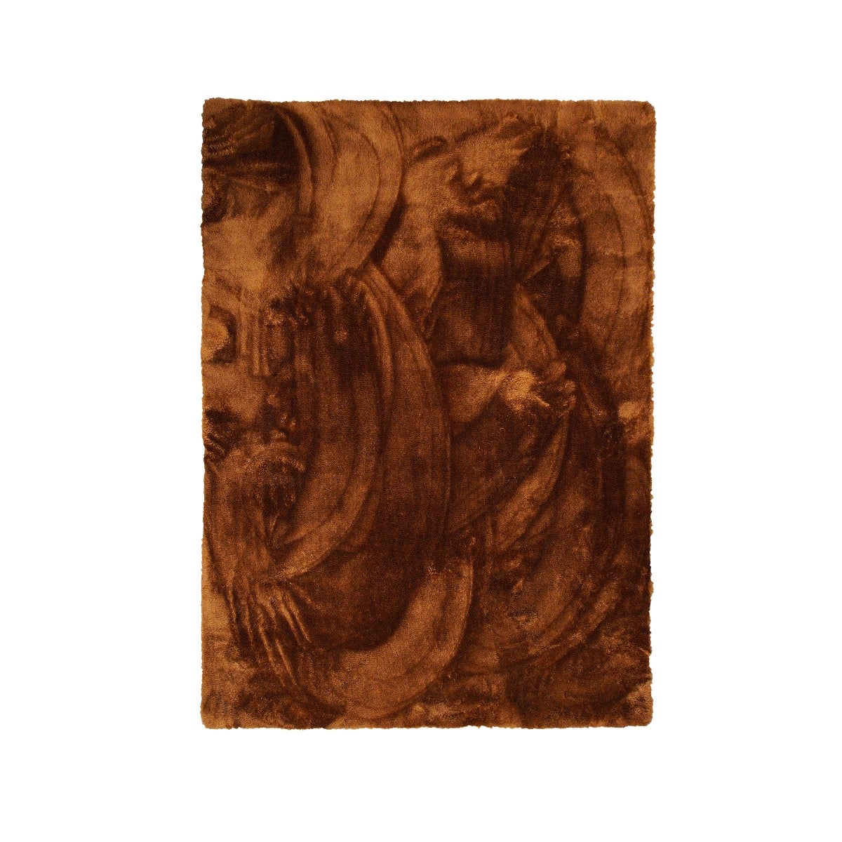 Tapis Salon Moelleux à Poils Longs ZRSDIXKI - Marron, 160x230 Cm - Doux, Antidérapant, Lavable