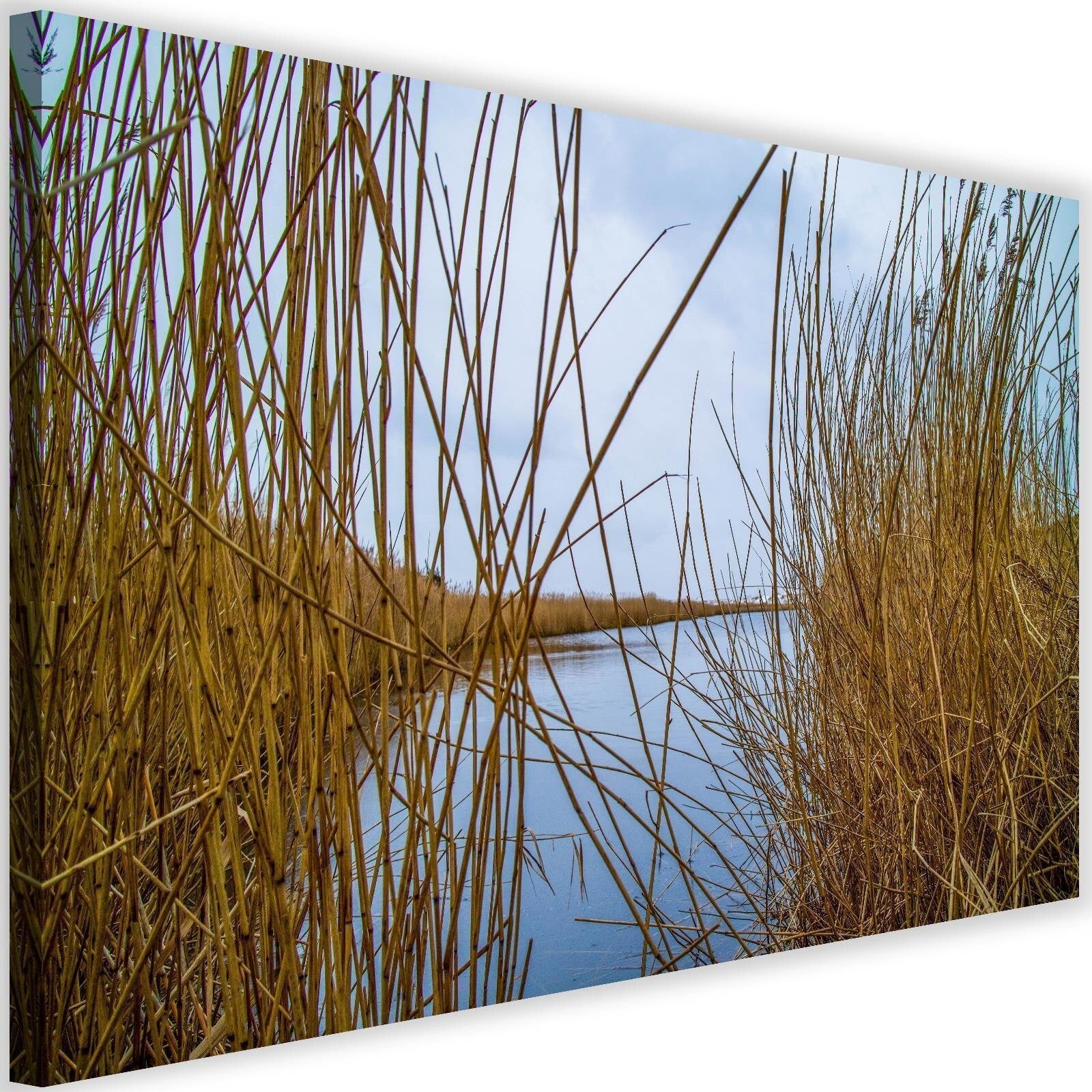 Obraz na płótnie, Jezioro natura pejzaż trzciny 120x80