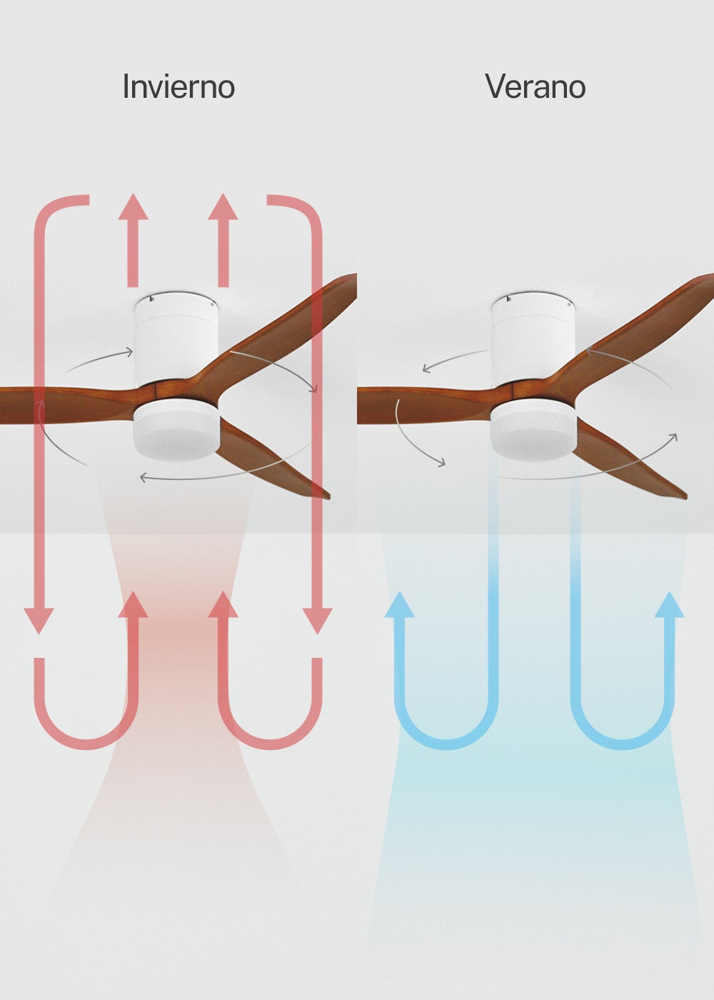 CREATE - WIND CALM M - Ventilateur de plafond silencieux 40W avec pales techniques en ABS Ø132cm avec eclaraige sans wifi - 6