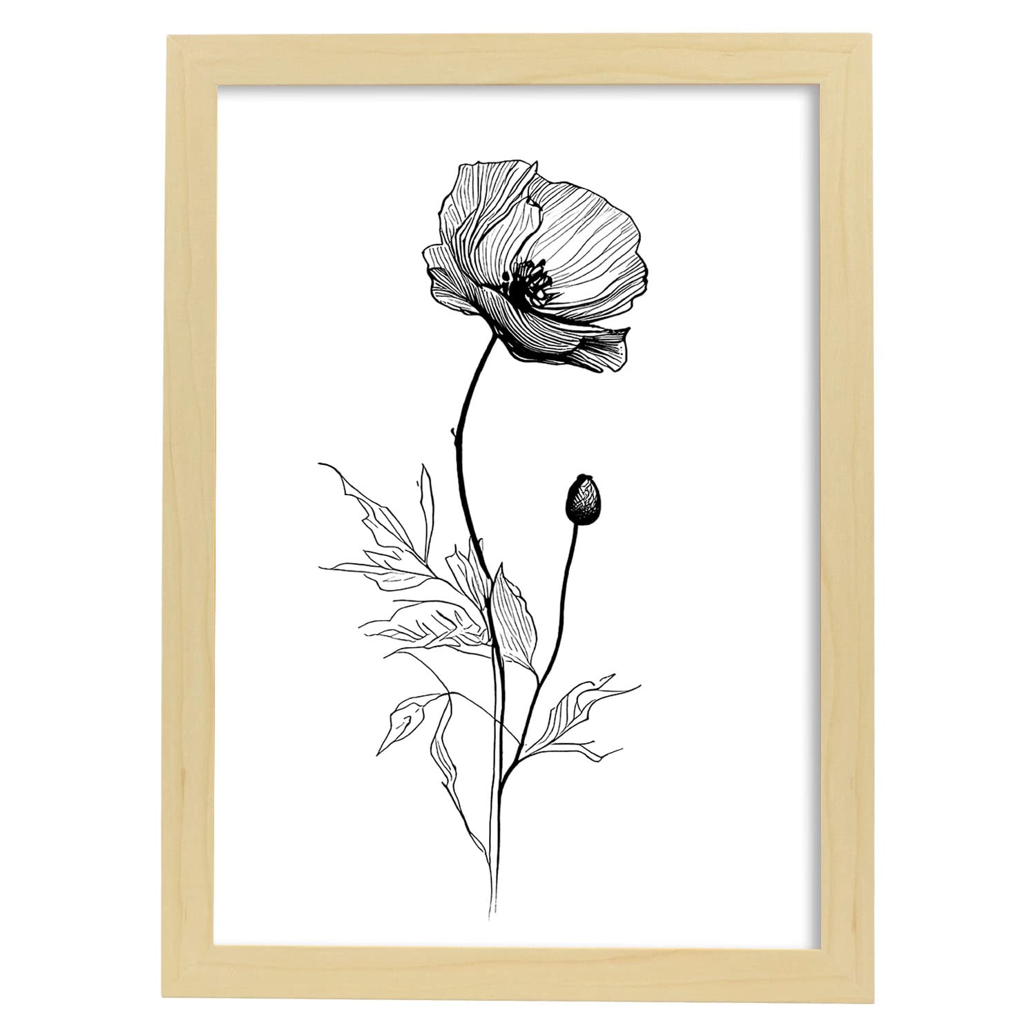 Nacnic poster de amapola estilo nórdico ilustraciones de botánica con flores y plantas en blanco y negro diseño y 4 a3 con marco de madera clara