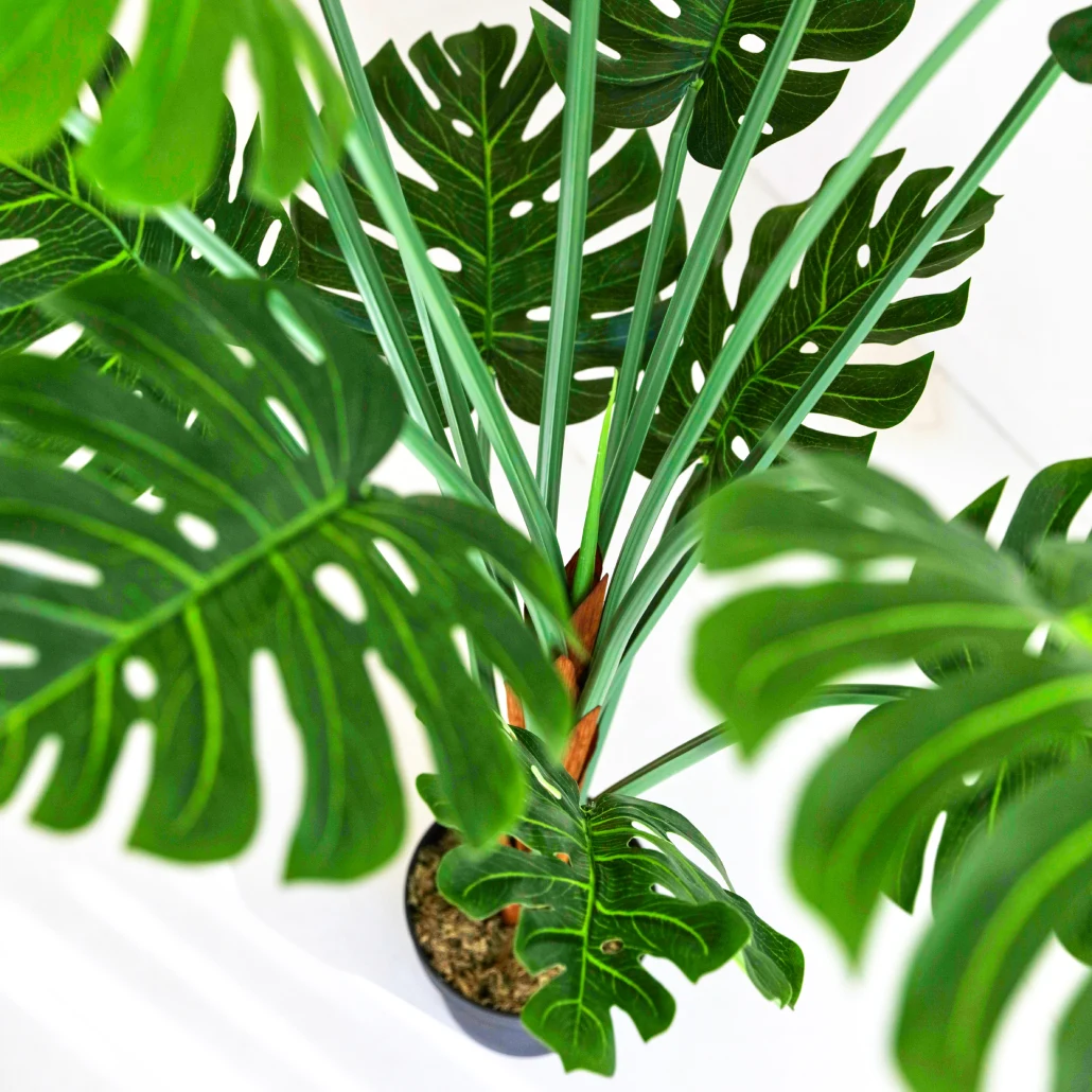 Monstera artificial Deco 150 cm Bonerva | Planta artificial alta para decorar interiores en hogares, negocios y hoteles | Sin mantenimiento - 3