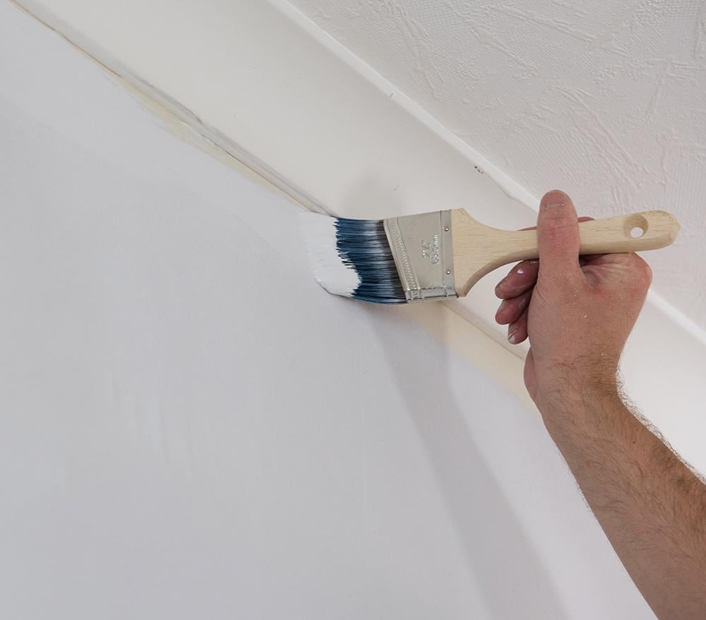 Pinceau à tête biseautée - 63 mm de large - 2