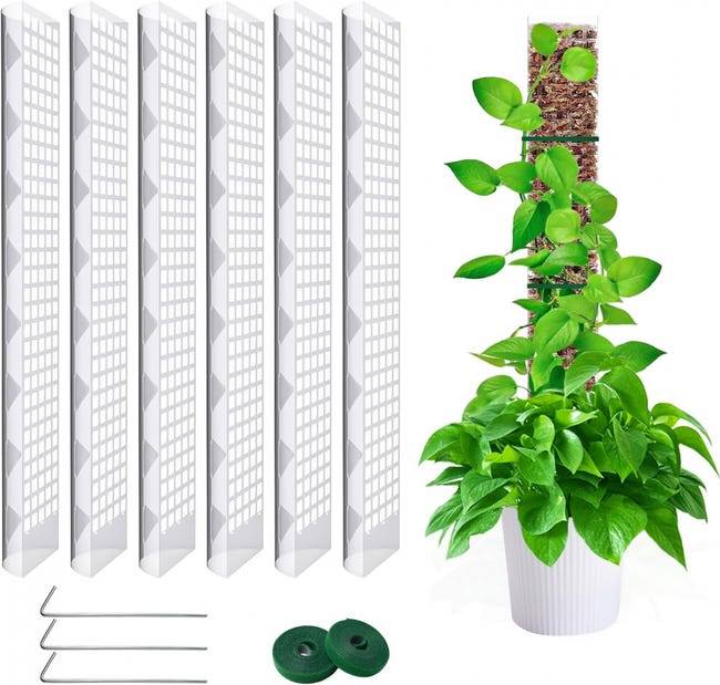 6 Piezas 60cm Tutor de Esfagno, Moss Pole para La Casa Monstera Jardín ...