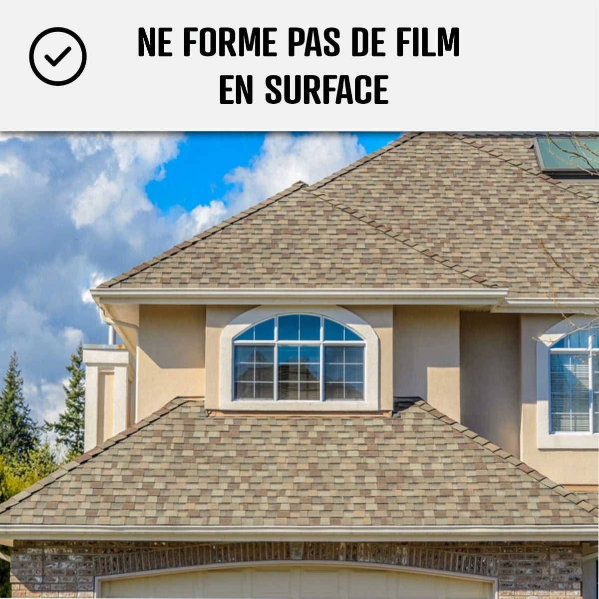 Traitement anti-dépots verts ULTRA CONCENTRÉ pour toitures et tuiles - 5 L (5 x 1L) - ARCANE INDUSTRIES - 6