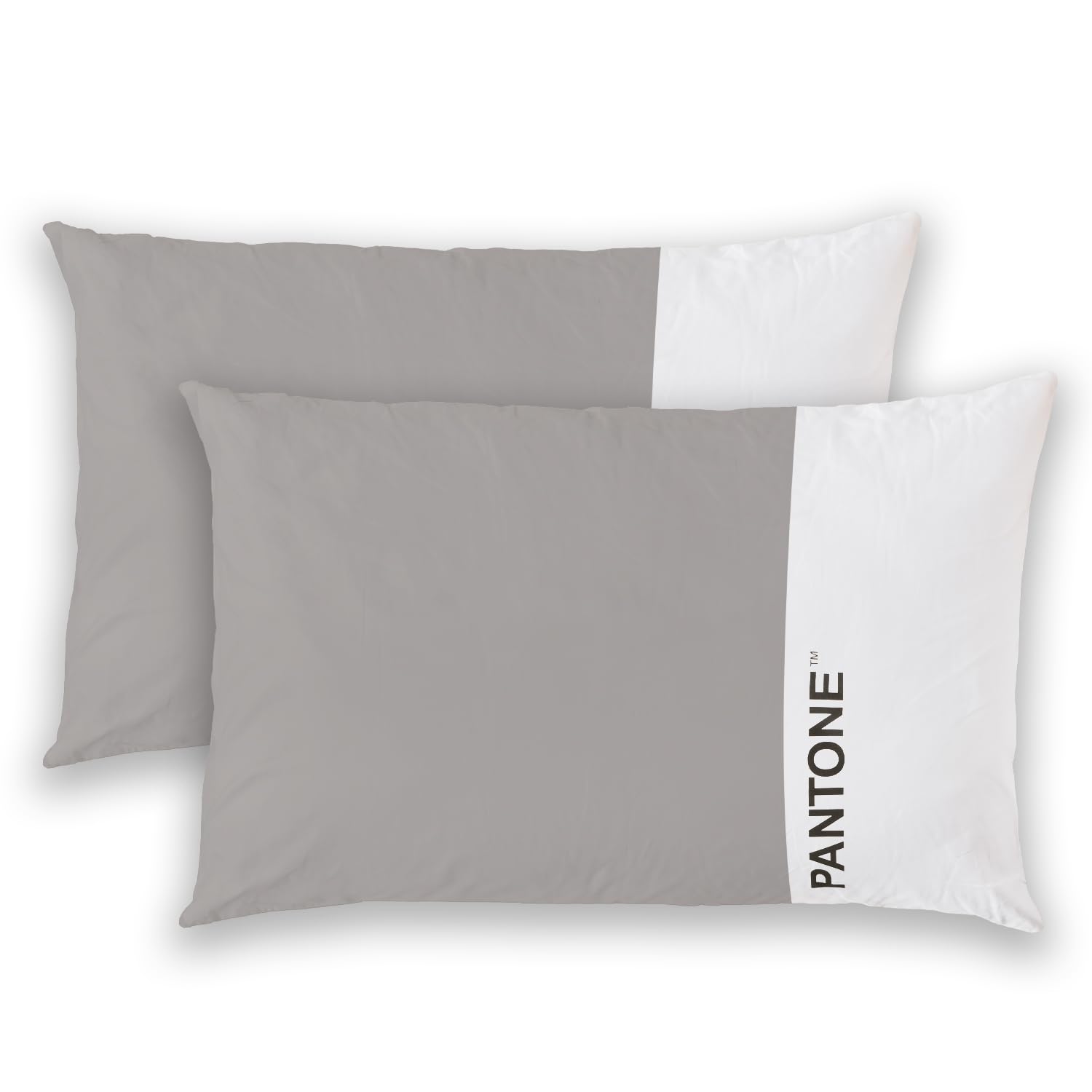 ATsense Set Di 2 Federe Cuscino 40x80 Cm, 100% Cotone Lavato, Grigio Scuro, Con Cerniera, OEKO-TEX
