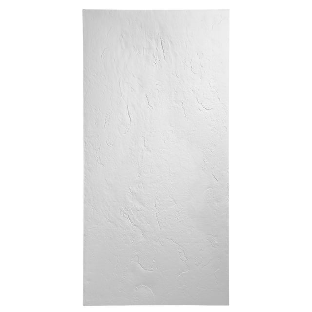 Panneau d'habillage mural 200 x 100 cm x 3 mm résine effet ardoise couleur blanc