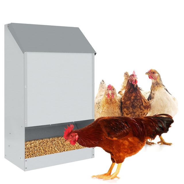 EasyComfort Mangiatoia per Galline 8.5 Litri 5 Polli, con Coperchio e