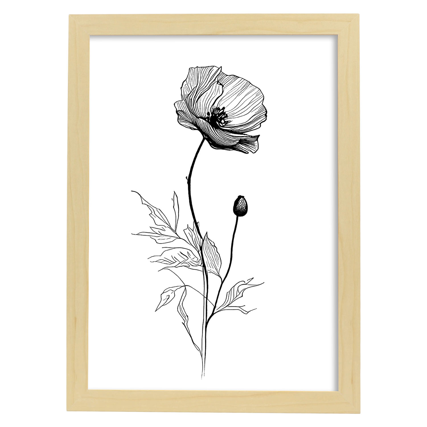 Nacnic Girasole Illustrazione Di Poster Botanico Di Piante Di Fiori In Bianco E Nero Linea Minimalista Nordica Stampe Per Camera Dei Bambini Interior 87697259