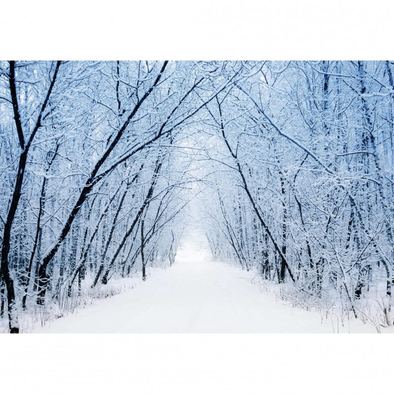 Tableau toile XXL en kit Chemin Blanc 130 x 90 cm - Toile textile sans PCV - Tableau grand format fabriqué en France par Scenolia - 2