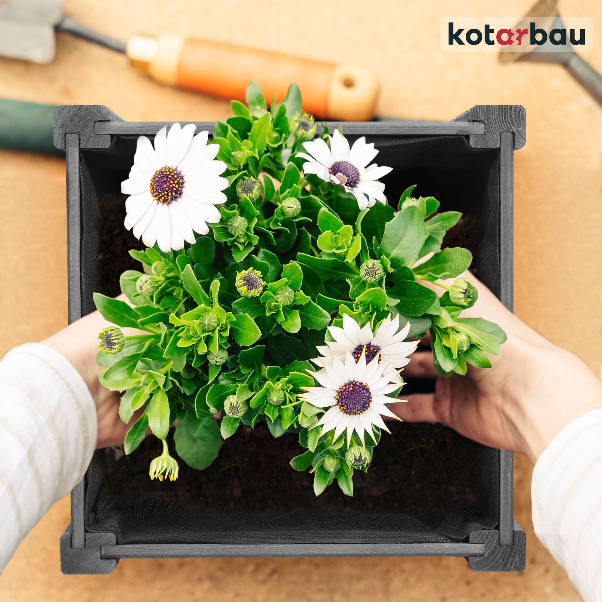 KOTARBAU Pot de fleurs en bois 38 x 38 x 30 cm Jardinière en pin carbonisé Pot de plantes Jardinière - Idéal pour jardin terrasse balcon - Anthracite - 8