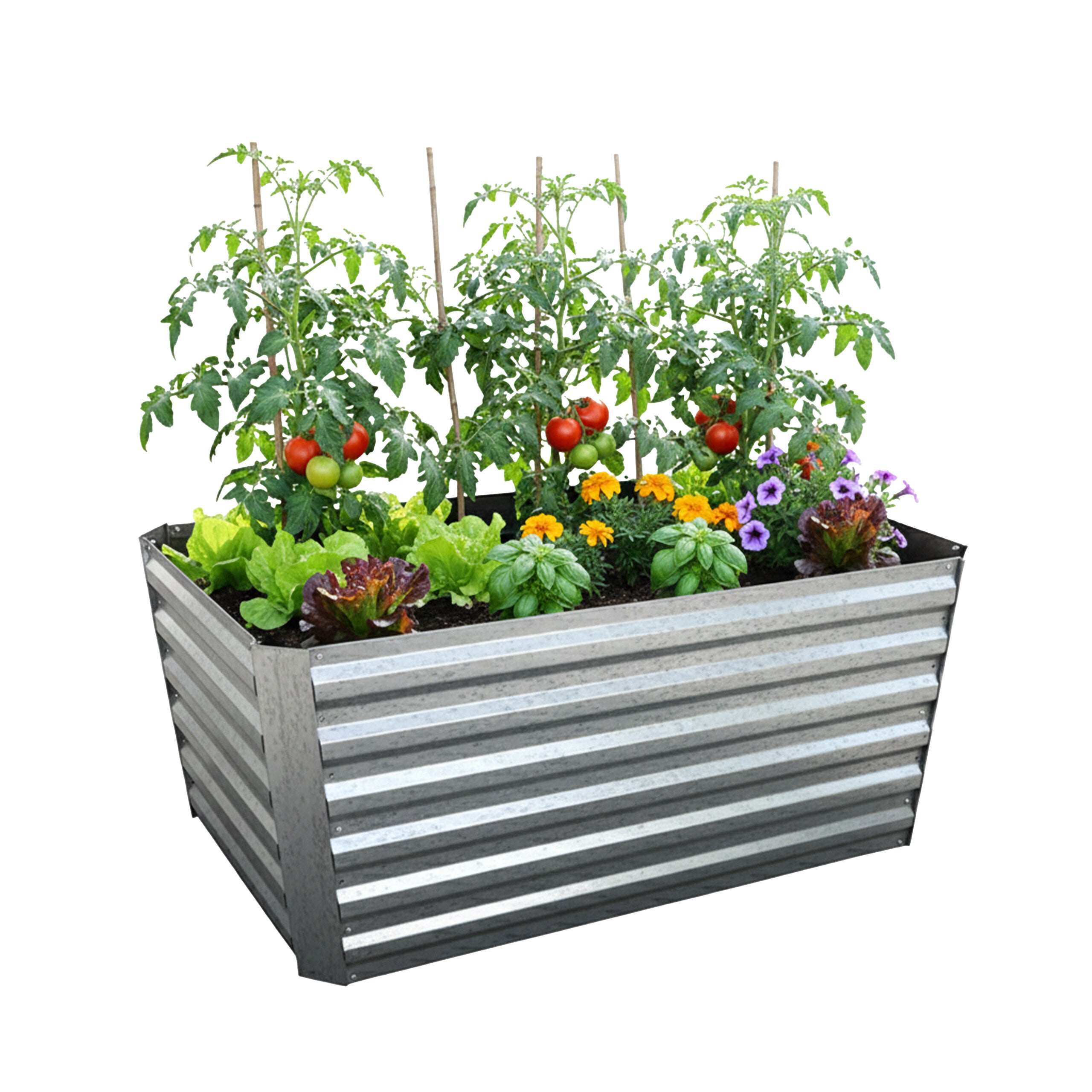 Bac potager surélevé métal galvanisé pour fleurs, plantes et légumes ...