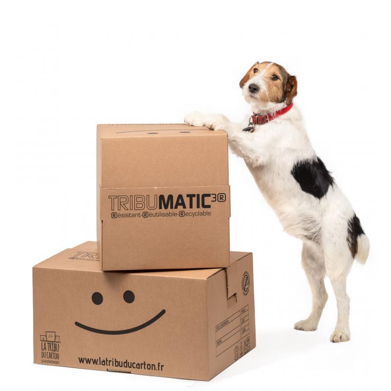 Carton automatique Tribumatic Grand volume - 2
