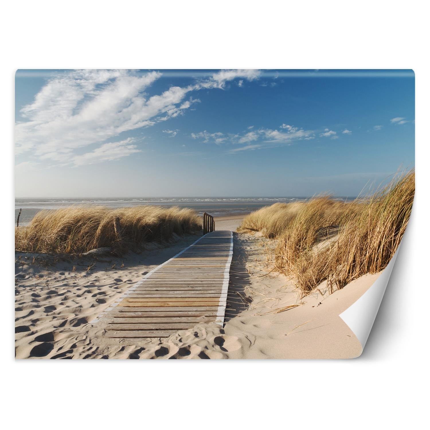 Fototapeta, Plaża morze wydmy 368x254