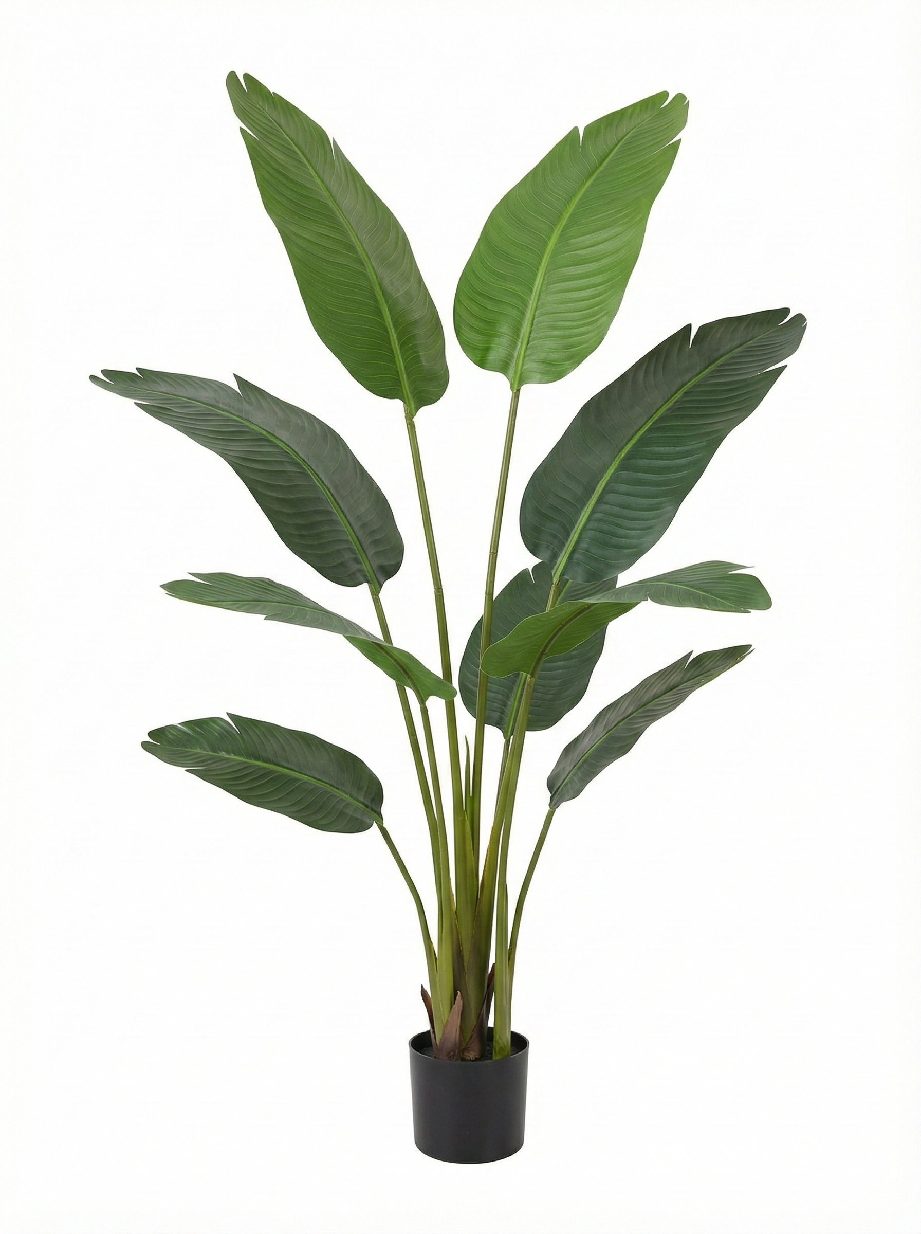 Valyria Home  Planta Artificial Ave De Paraíso 120 Cm, Strelitzia Artificial – Negra , Leroy Merlin