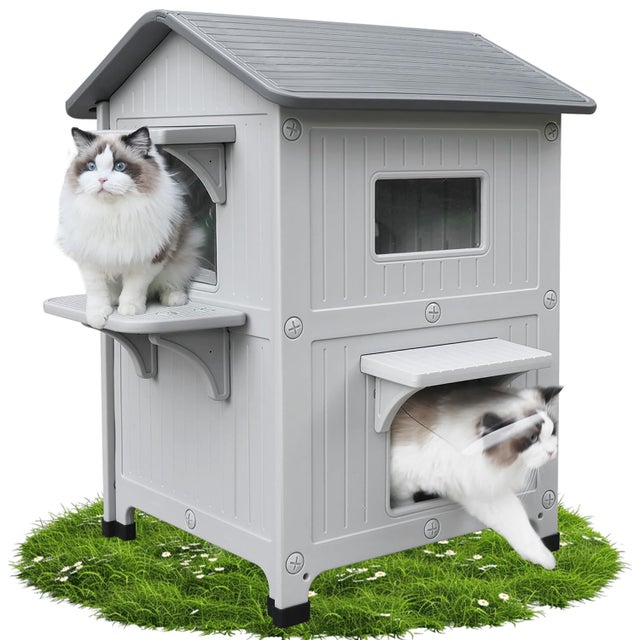 Maison d'extérieur pour chat - 2 histoires - En plastique - Résistant aux intempéries - Avec porte d'échappement - Grande villa sauvage - Abri pour pe
