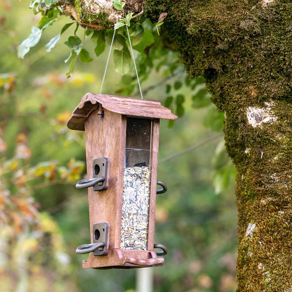 Mangiatoie Per Uccelli Selvatici - Set Di 4, Resistente Alle Intemperie, Per Giardino E Cortile - Foto 10