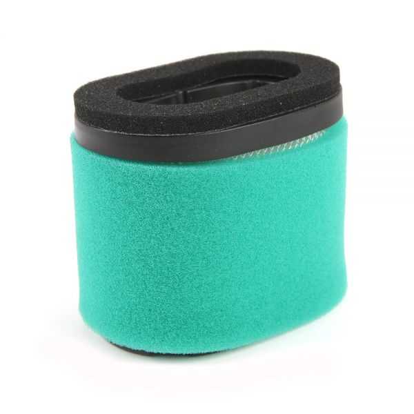 Démarreur à Cordon Rechange Briggs & Stratton - Compatible 133232 133237 135252 135292