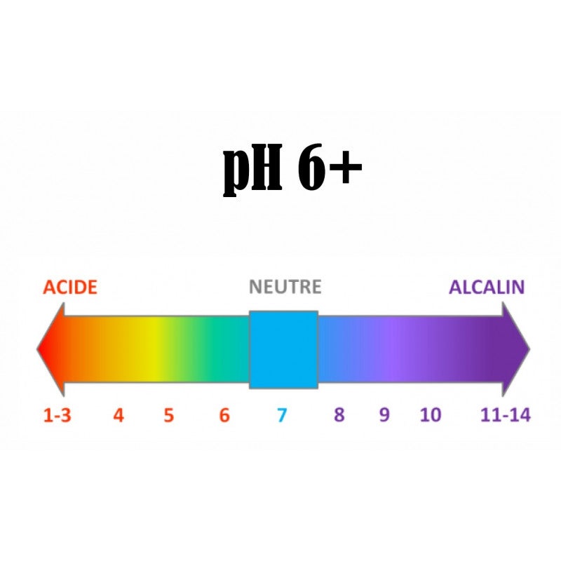 Détergent Surodorant SENET 2D Lavande 5L - 2