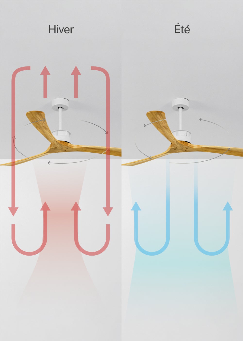WIND LARGE DC - Ventilateur de Plafond 40W Silencieux XL Ø152 cm - Sans Lumière et Sans WIFI - 4