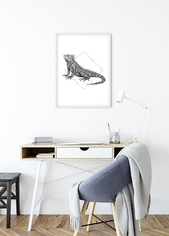 Poster d'art de Komar - Iguana White - Taille: 30 x 40 cm - 4