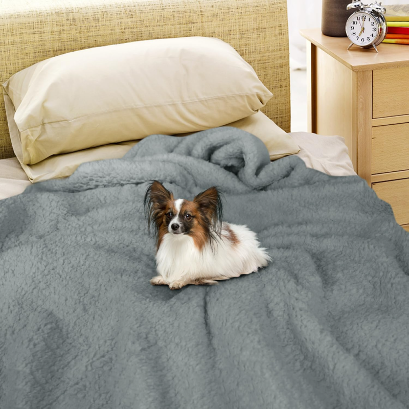 Couverture imperméable anti-urine pour animaux, Matelas en flanelle de coton épaissi pour chiens, Tapis confortable pour animaux de compagnie - 2