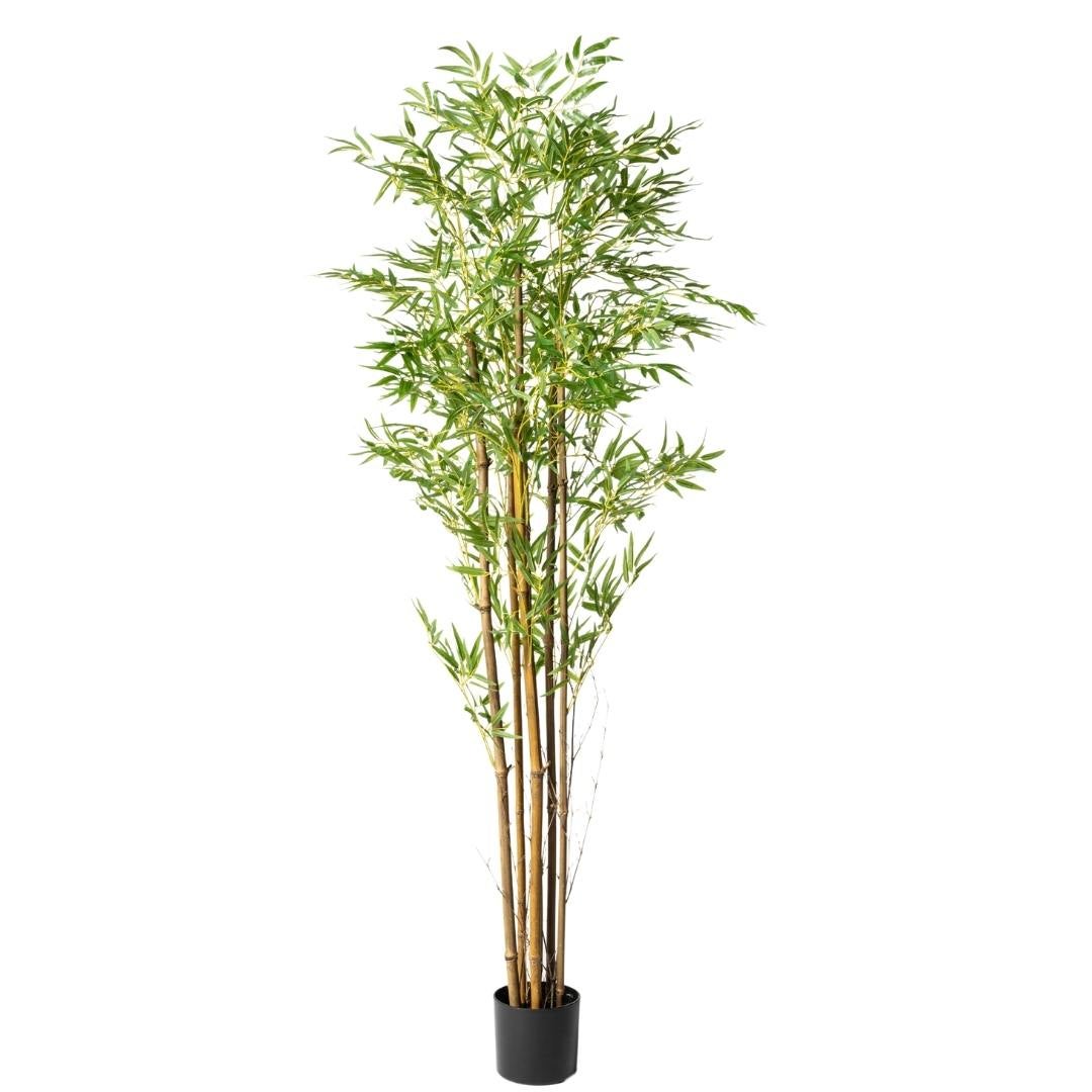Kactus Republic  Planta Artificial Bambú Zen 180Cm. Gran Realismo Multi-Tallo Sin Mantenimiento Con Maceta Para Decoración Interior Salón Hogar Y Oficina , Leroy Merlin