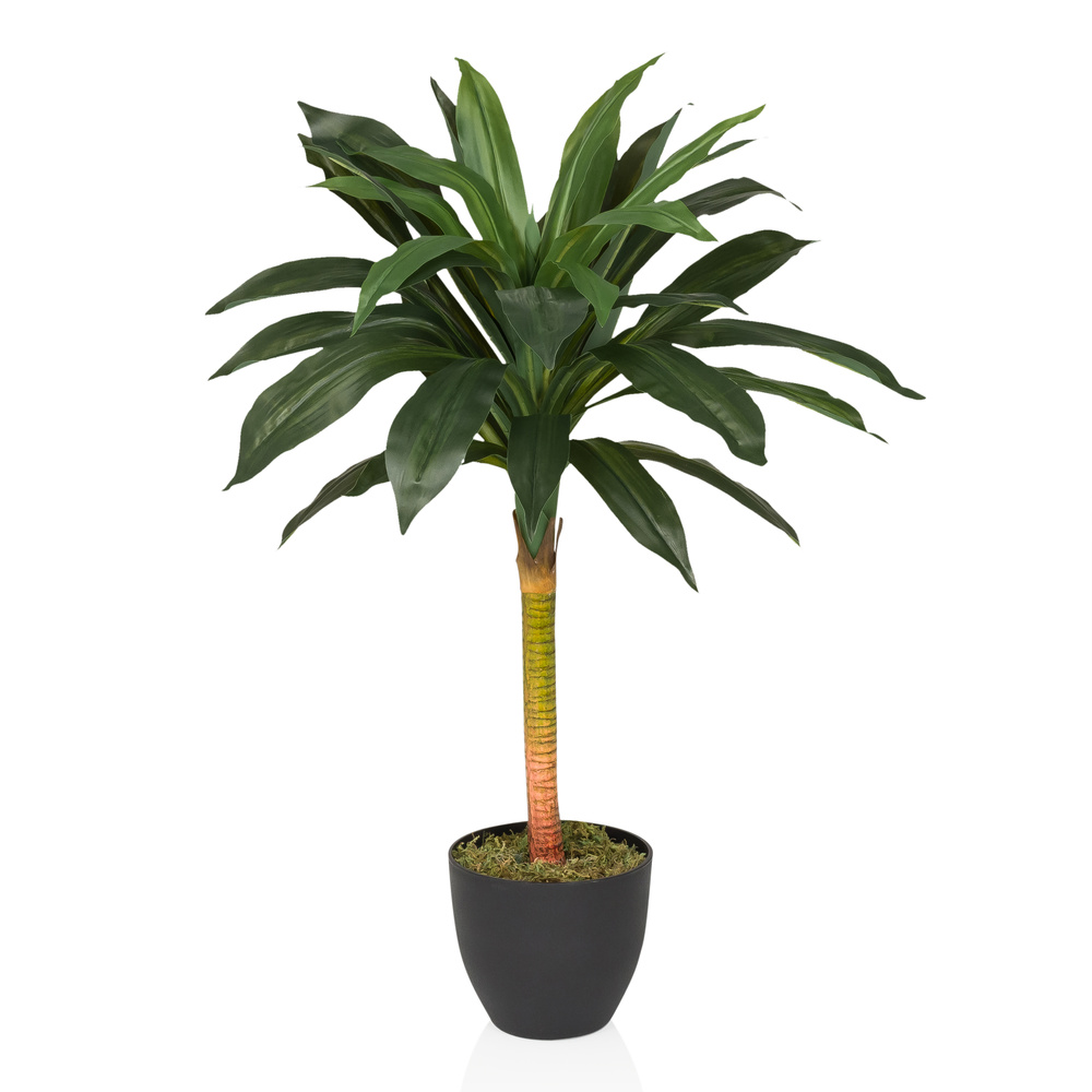 Sztuczna roślina DRACAENA I Zielony hjh OFFICE