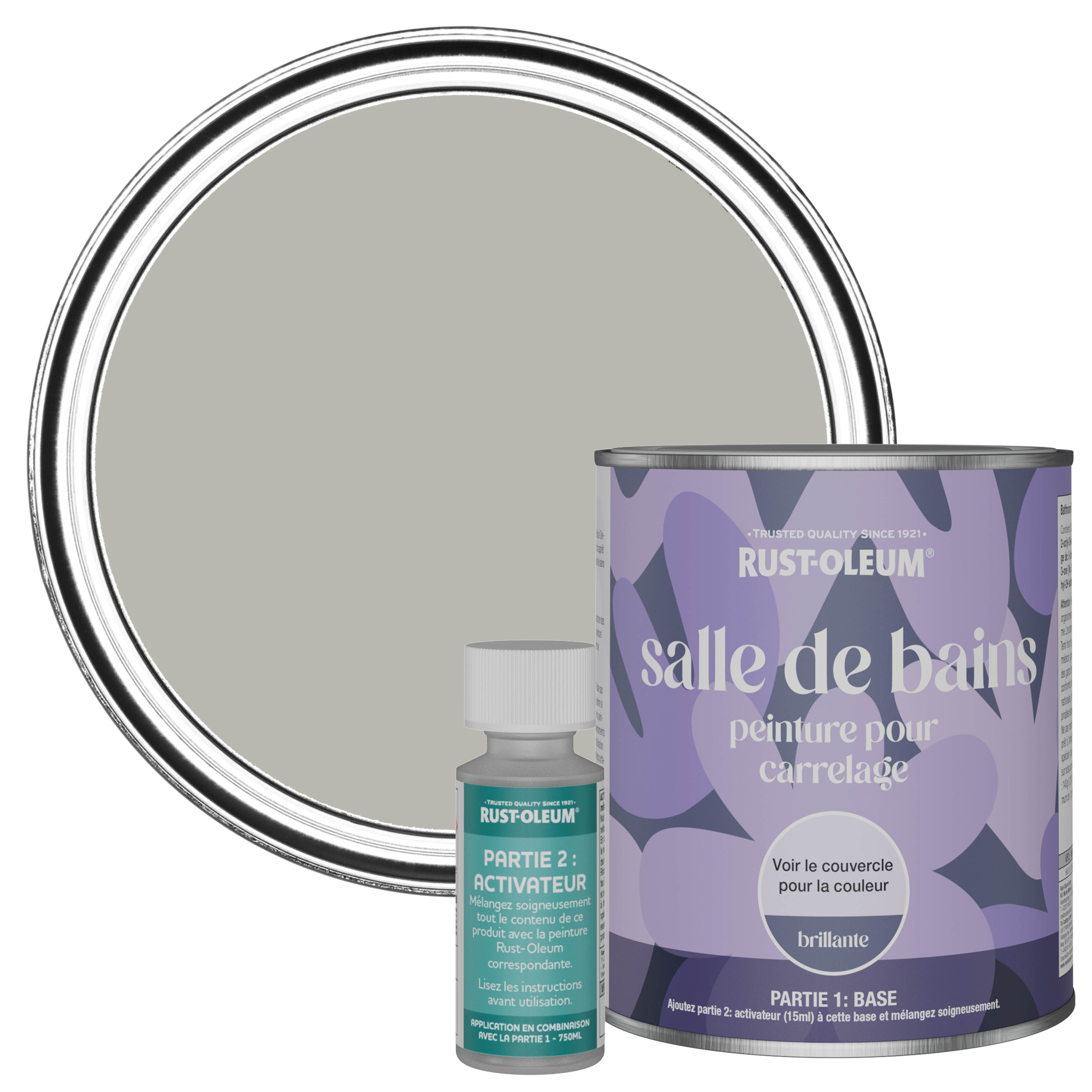 Peinture Grise résistante à l'eau pour Carrelage Salle de Bain ...