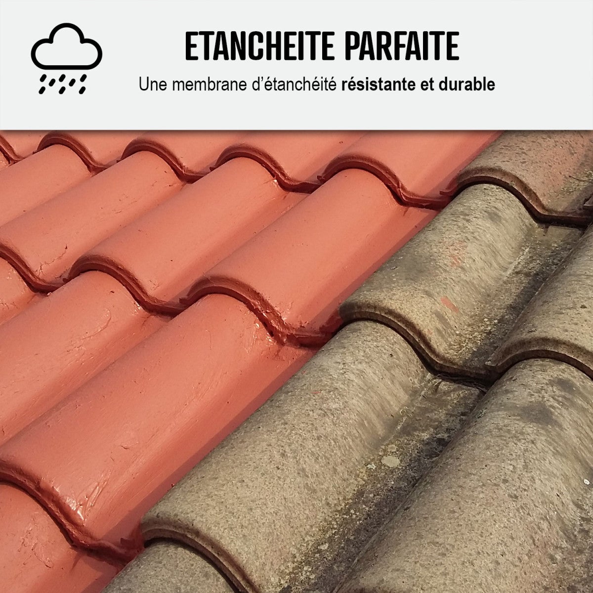 Étanchéité Toiture, Résine d'étanchéité colorée : ARCAFILM Tuile - 0.75 L - ARCANE INDUSTRIES - 7