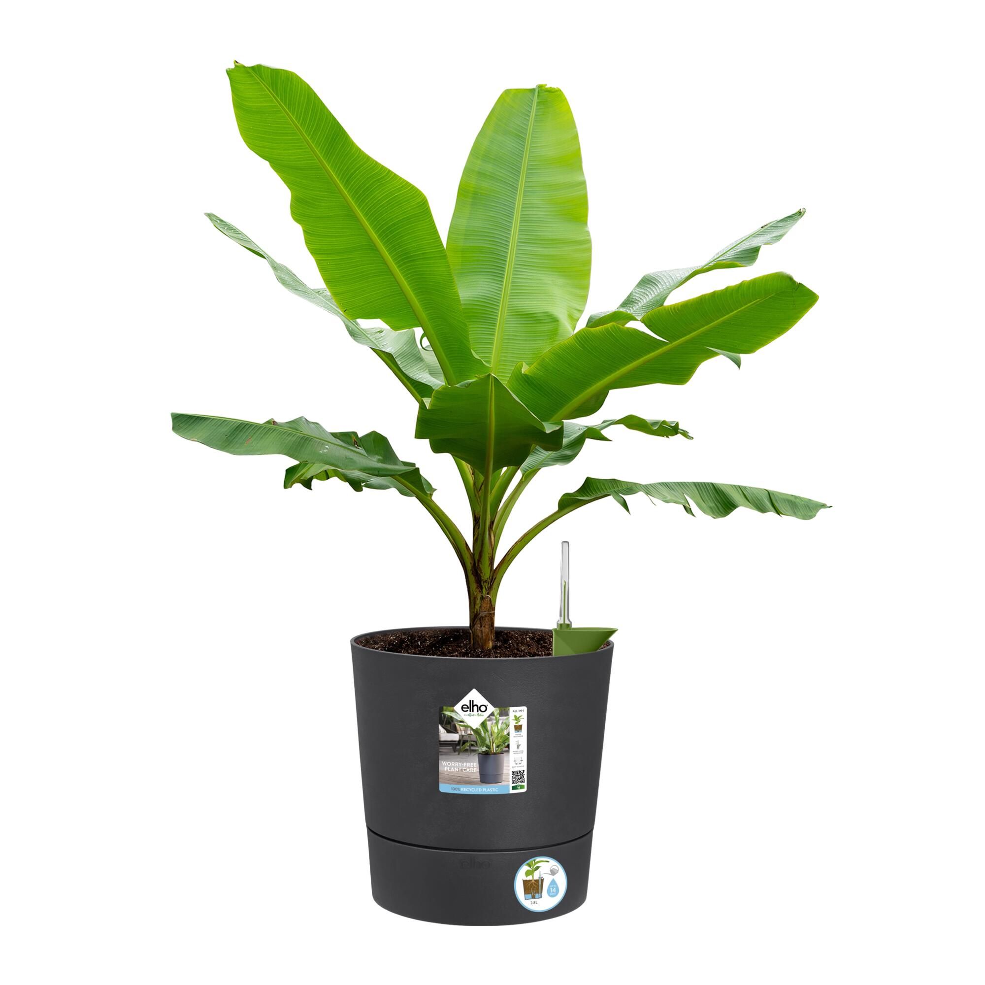 Pot polypropylène rond ELHO Greensense 30 cm, gris foncé - 8